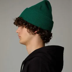 Fashion The North Face Bonnet Urban Patch Evergreen