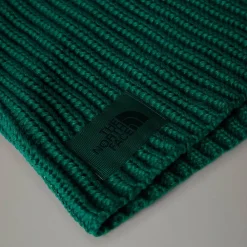 Shop The North Face Capuche Urban Lifestyle Evergreen