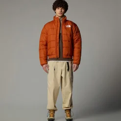 Outlet The North Face Doudoune à Isolation Synthétique 2000 Pour Homme Earthen Copper