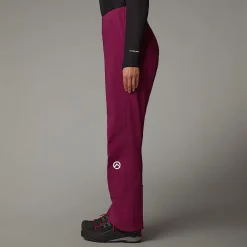 Discount The North Face Pantalon Summit Chamlang FUTURELIGHT™ Pour Femme Boysenberry