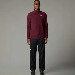 Cheap The North Face Polaire à Col Zippé 100 Glacier Pour Homme Alpine Plum