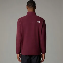Cheap The North Face Polaire à Col Zippé 100 Glacier Pour Homme Alpine Plum