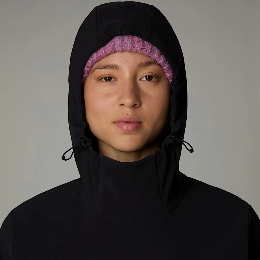 New The North Face Sweat à Capuche à Enfiler Tekno Pour Femme TNF Black-NPF