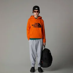 Best Sale The North Face Sweat à Capuche Drew Peak Pour Garçon TNF Orange