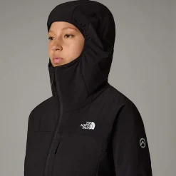 Store The North Face Sweat à Capuche Intermédiaire Summit Casaval Pour Femme TNF Black