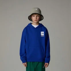 Hot The North Face Sweat à Capuche Oversize Coordinates Graphic Pour Garçon TNF Blue
