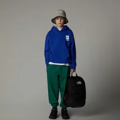 Hot The North Face Sweat à Capuche Oversize Coordinates Graphic Pour Garçon TNF Blue