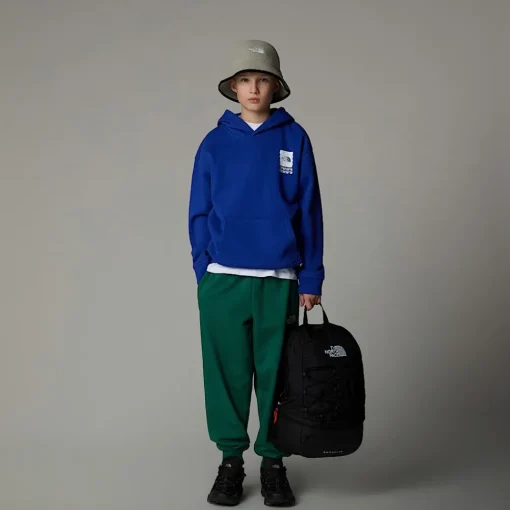 Hot The North Face Sweat à Capuche Oversize Coordinates Graphic Pour Garçon TNF Blue