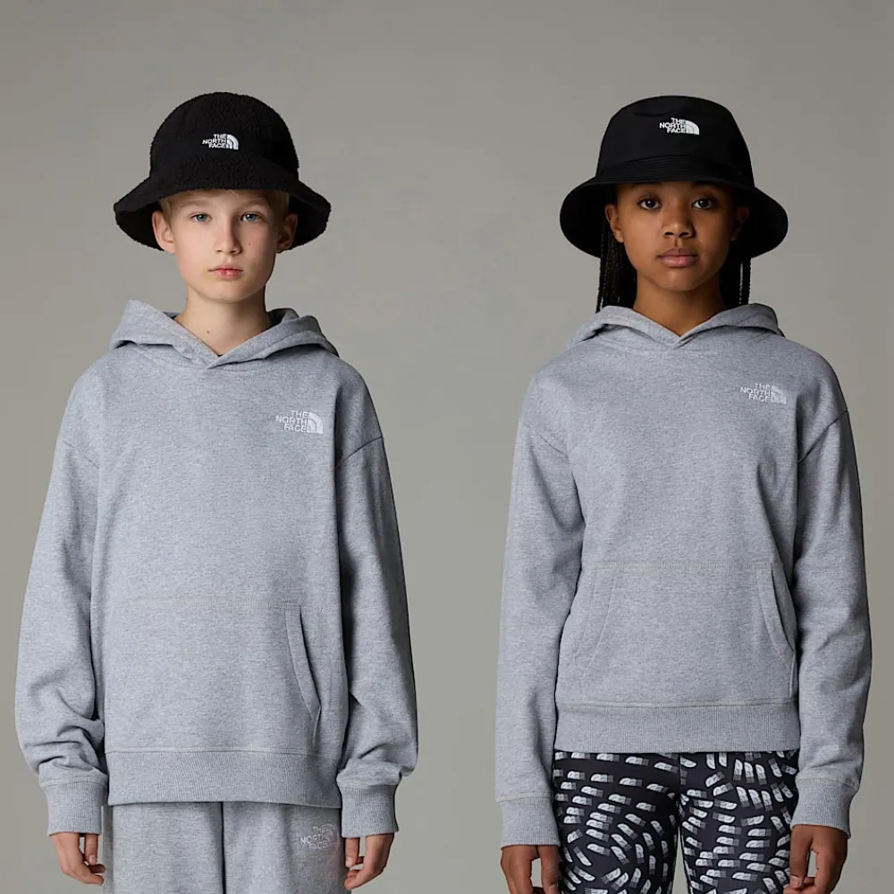 Discount The North Face Sweat à Capuche Oversize Essential Pour Enfant TNF Light Grey Heather