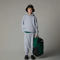 Discount The North Face Sweat à Capuche Oversize Essential Pour Enfant TNF Light Grey Heather