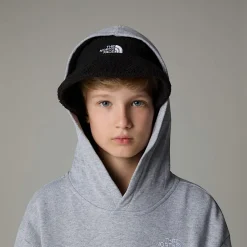 Discount The North Face Sweat à Capuche Oversize Essential Pour Enfant TNF Light Grey Heather