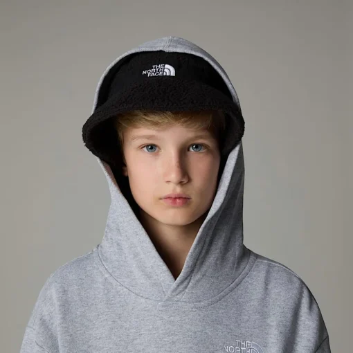 Discount The North Face Sweat à Capuche Oversize Essential Pour Enfant TNF Light Grey Heather