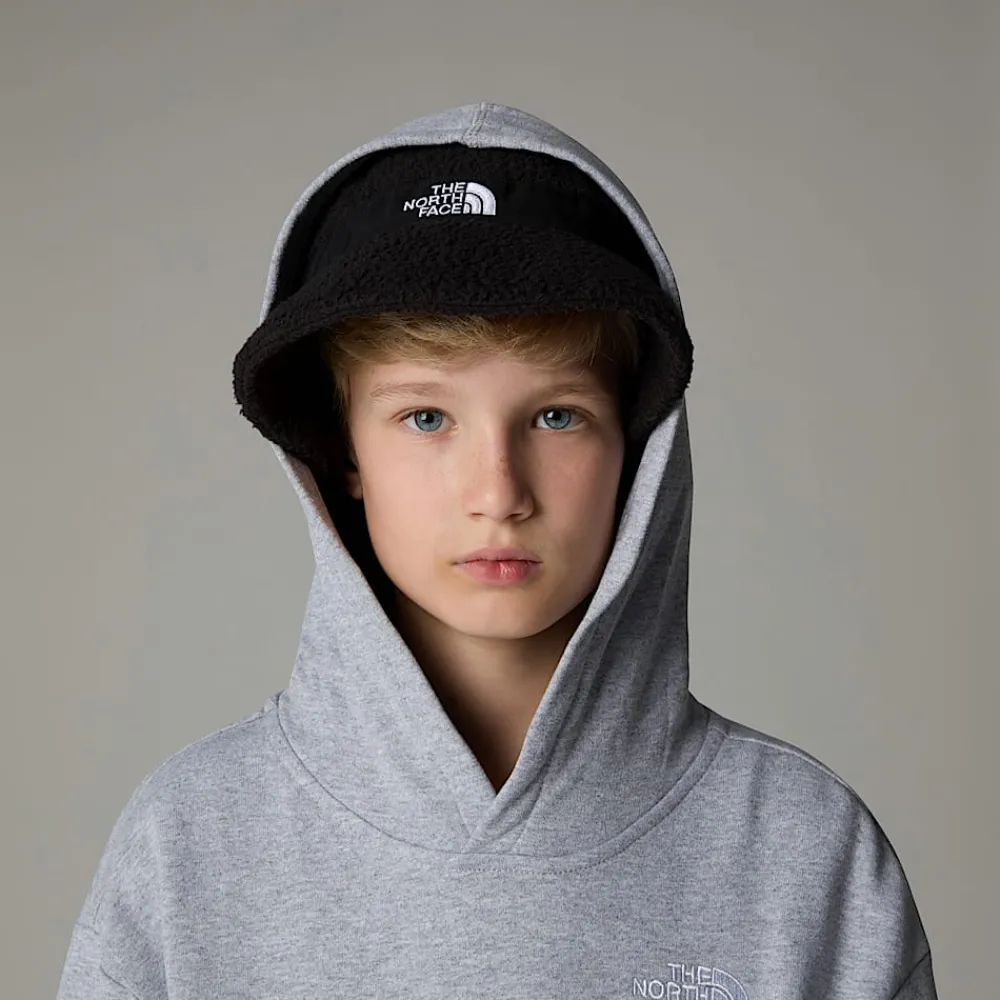 Discount The North Face Sweat à Capuche Oversize Essential Pour Enfant TNF Light Grey Heather