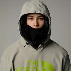 Outlet The North Face Sweat à Capuche Tekno Logo Pour Homme Clay Grey