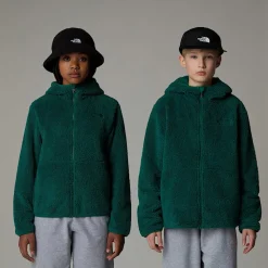 Shop The North Face Sweat à Capuche Zippé Campshire Pour Enfant Evergreen