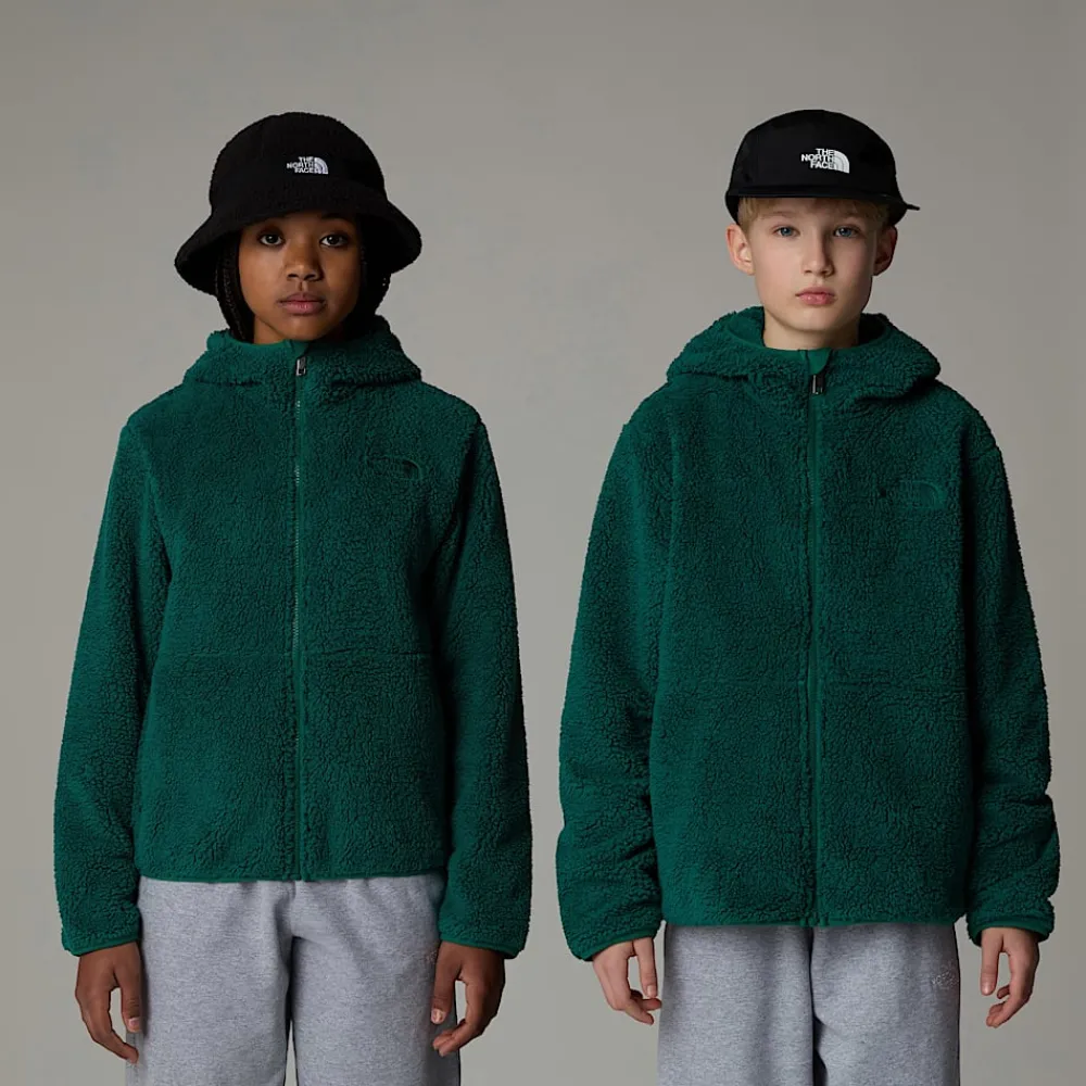 Shop The North Face Sweat à Capuche Zippé Campshire Pour Enfant Evergreen