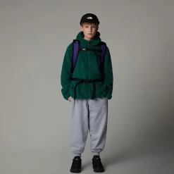 Shop The North Face Sweat à Capuche Zippé Campshire Pour Enfant Evergreen