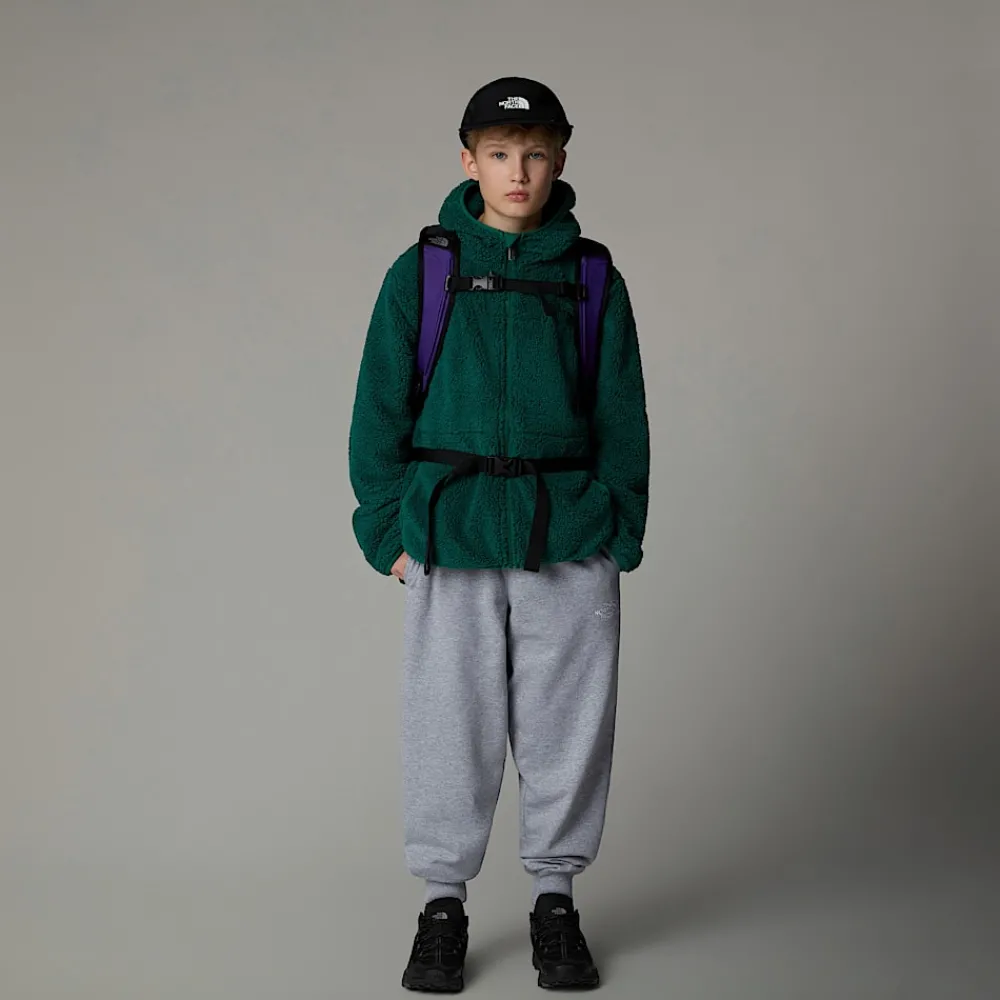 Shop The North Face Sweat à Capuche Zippé Campshire Pour Enfant Evergreen