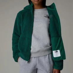 Shop The North Face Sweat à Capuche Zippé Campshire Pour Enfant Evergreen