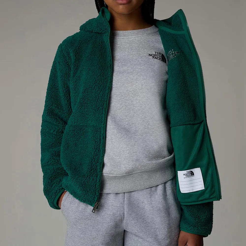 Shop The North Face Sweat à Capuche Zippé Campshire Pour Enfant Evergreen