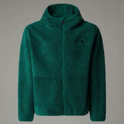 Shop The North Face Sweat à Capuche Zippé Campshire Pour Enfant Evergreen