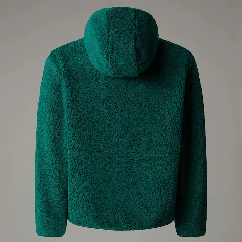 Shop The North Face Sweat à Capuche Zippé Campshire Pour Enfant Evergreen