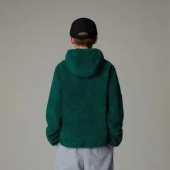 Shop The North Face Sweat à Capuche Zippé Campshire Pour Enfant Evergreen