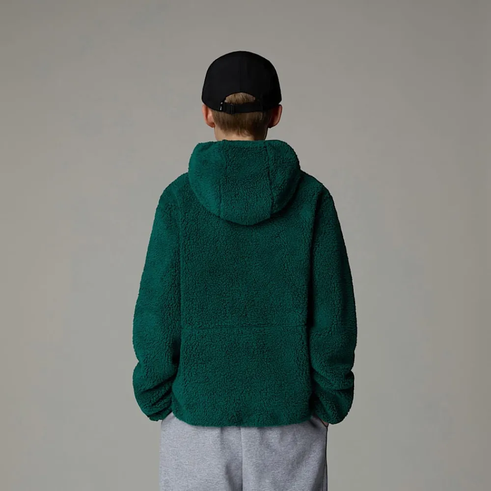 Shop The North Face Sweat à Capuche Zippé Campshire Pour Enfant Evergreen