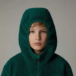 Shop The North Face Sweat à Capuche Zippé Campshire Pour Enfant Evergreen