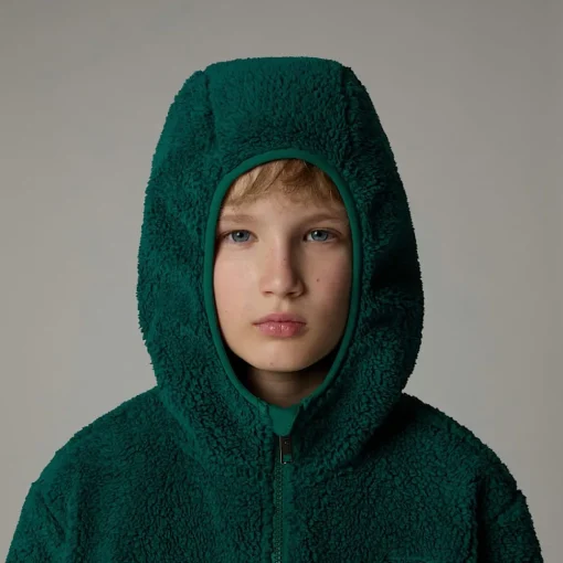 Shop The North Face Sweat à Capuche Zippé Campshire Pour Enfant Evergreen