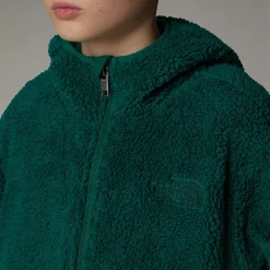 Shop The North Face Sweat à Capuche Zippé Campshire Pour Enfant Evergreen