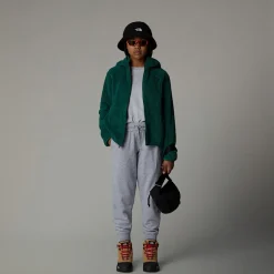 Shop The North Face Sweat à Capuche Zippé Campshire Pour Enfant Evergreen