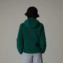 Shop The North Face Sweat à Capuche Zippé Campshire Pour Enfant Evergreen