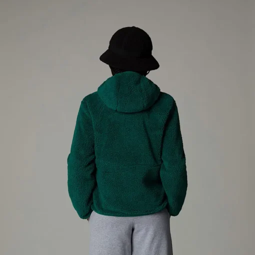 Shop The North Face Sweat à Capuche Zippé Campshire Pour Enfant Evergreen