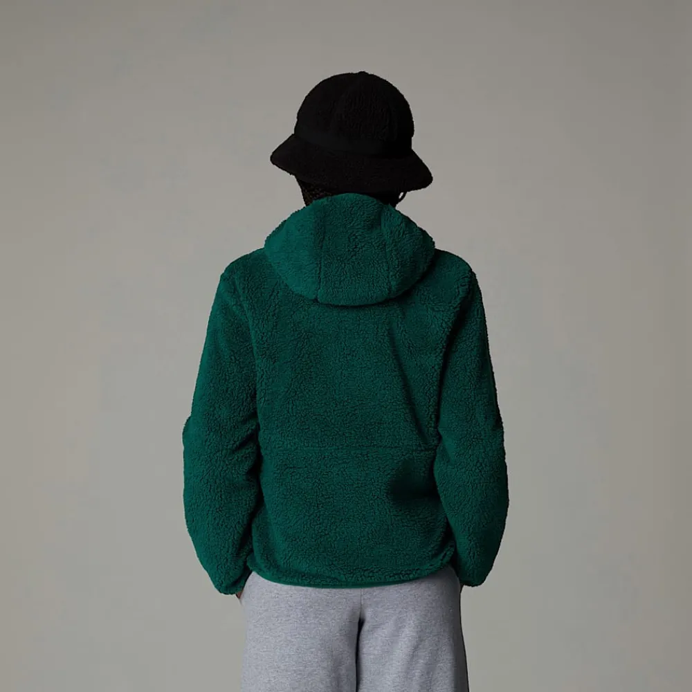 Shop The North Face Sweat à Capuche Zippé Campshire Pour Enfant Evergreen