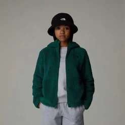 Shop The North Face Sweat à Capuche Zippé Campshire Pour Enfant Evergreen