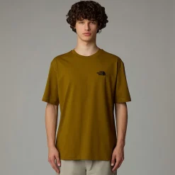 Shop The North Face T-shirt Oversize Simple Dome Pour Homme Moss Green