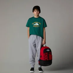 New The North Face T-shirt Oversize Varsity Graphic Pour Enfant Evergreen