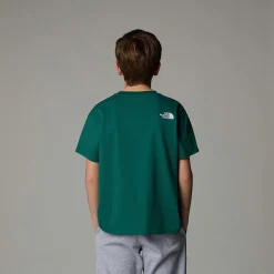New The North Face T-shirt Oversize Varsity Graphic Pour Enfant Evergreen