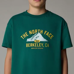 New The North Face T-shirt Oversize Varsity Graphic Pour Enfant Evergreen
