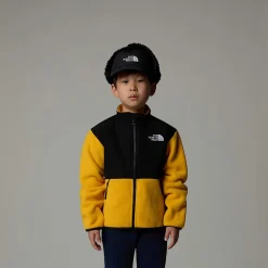 Shop The North Face Veste Denali Pour Enfant Summit Gold