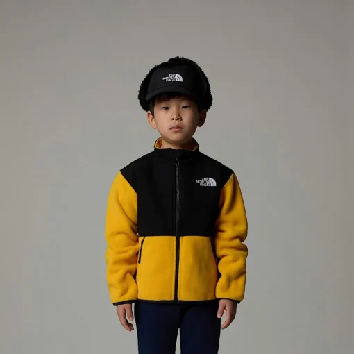 Shop The North Face Veste Denali Pour Enfant Summit Gold