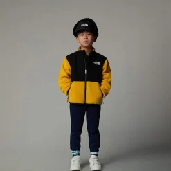 Shop The North Face Veste Denali Pour Enfant Summit Gold