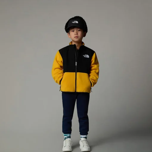 Shop The North Face Veste Denali Pour Enfant Summit Gold