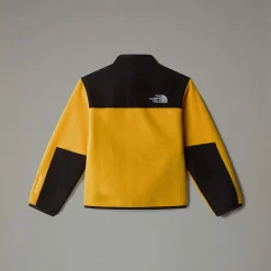 Shop The North Face Veste Denali Pour Enfant Summit Gold