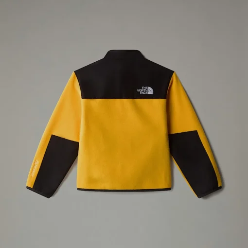 Shop The North Face Veste Denali Pour Enfant Summit Gold