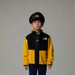 Shop The North Face Veste Denali Pour Enfant Summit Gold