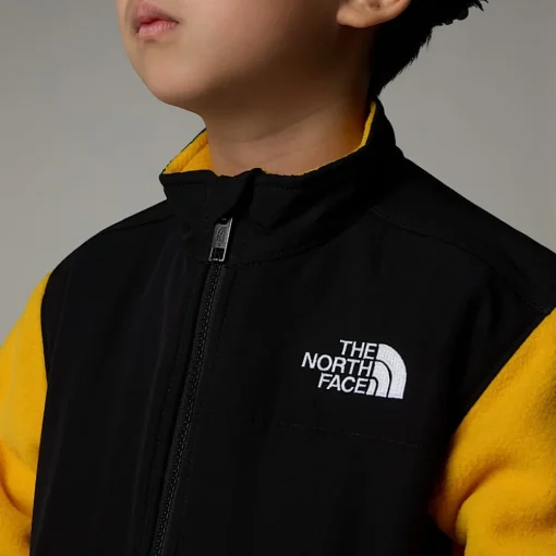 Shop The North Face Veste Denali Pour Enfant Summit Gold