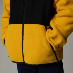 Shop The North Face Veste Denali Pour Enfant Summit Gold
