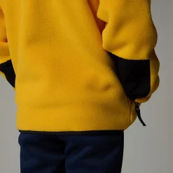 Shop The North Face Veste Denali Pour Enfant Summit Gold